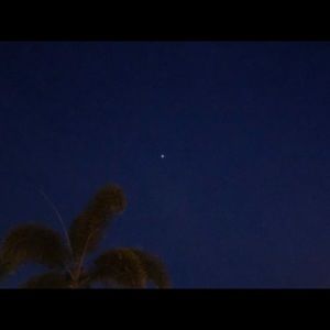 Meet your Posher, Frances